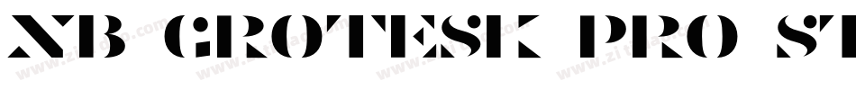 NB Grotesk Pro Stenc字体转换